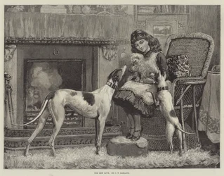 Il nuovo amore